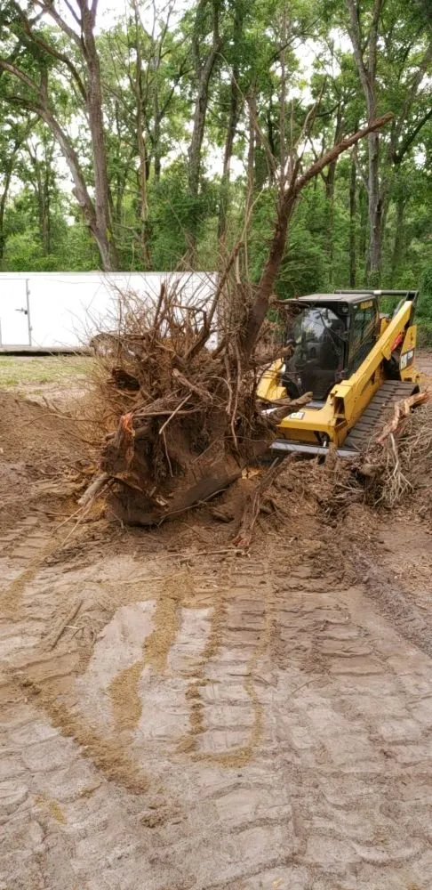 Reliable yard cleanup service in Ocala, FL - Anthony's Lawn Care & Landscaping