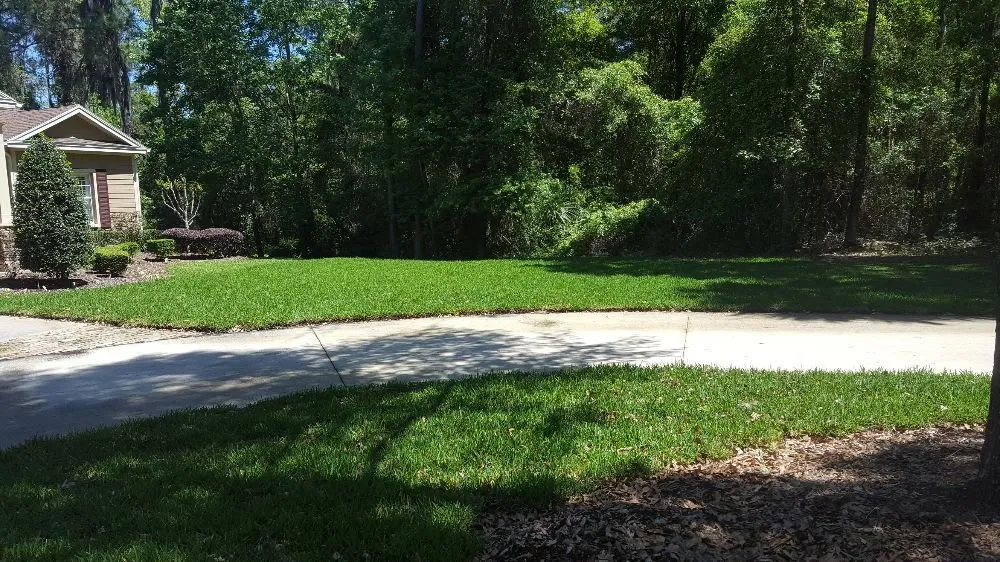 Expert lawn mowing service in Ocala, FL - Anthony's Lawn Care & Landscaping