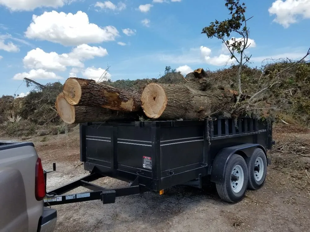 Top-rated yard cleanup service for beautiful yards in Ocala, FL by Anthony's Lawn Care & Landscaping