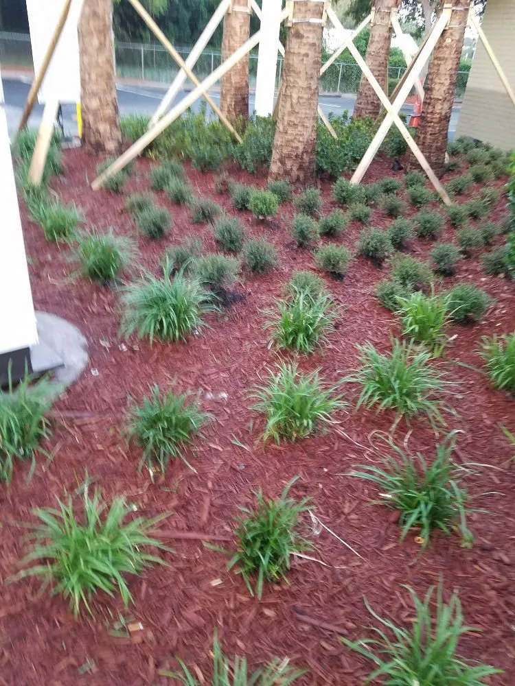Local residential landscaping for year-round maintenance across Ocala, FL - Anthony's Lawn Care & Landscaping