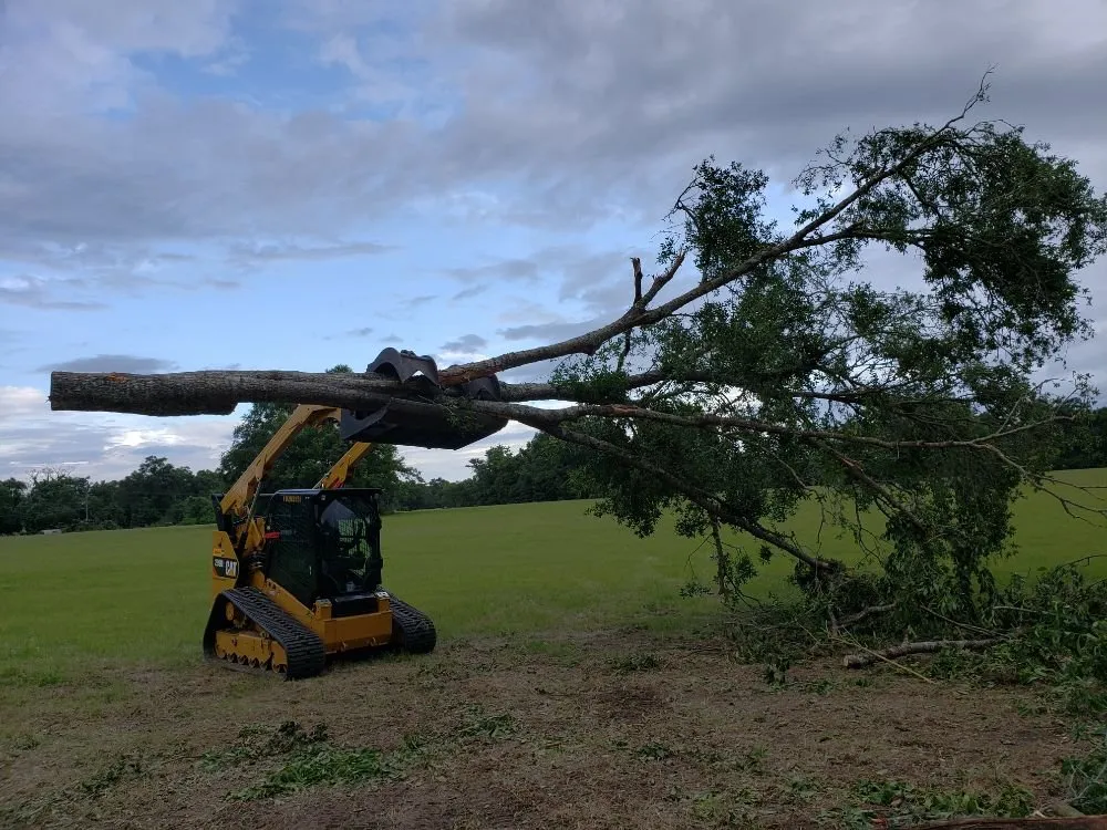 Professional lawn care service in Ocala, FL - Anthony's Lawn Care & Landscaping