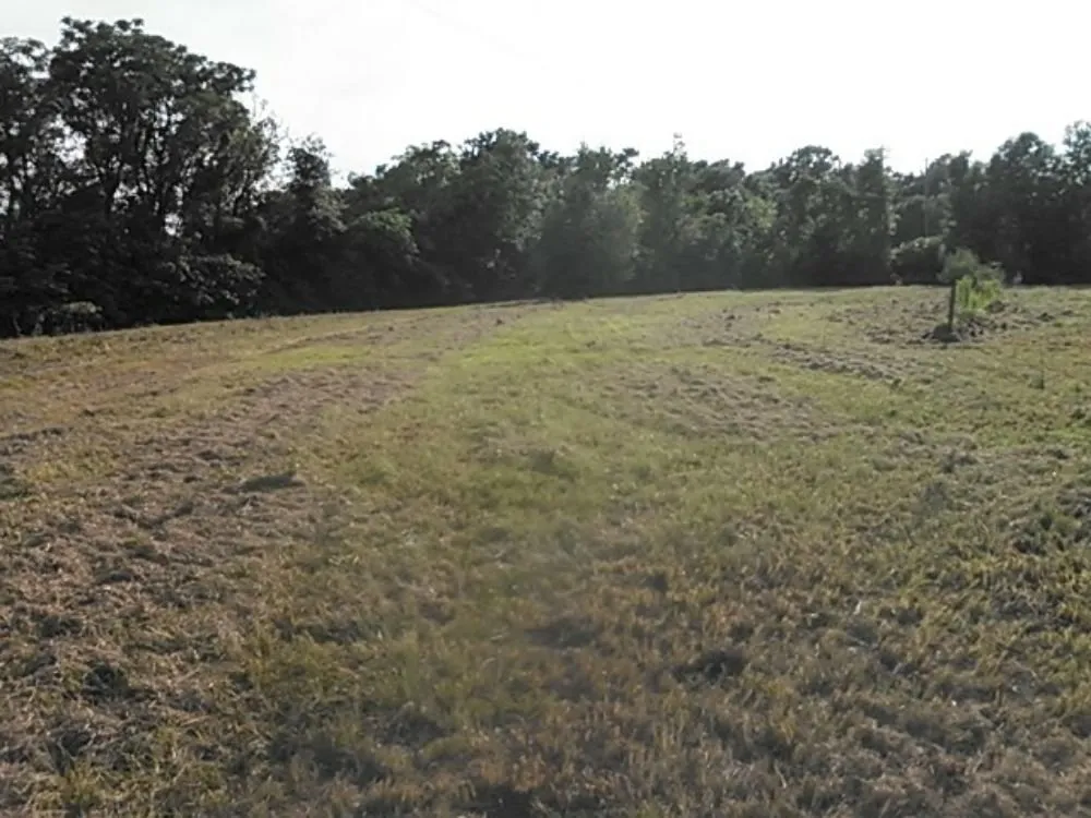 Top-rated landscaping services in Ocala, FL - Anthony's Lawn Care & Landscaping