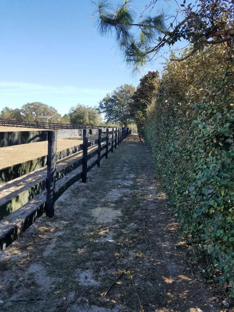 Reliable residential landscaping near you across Ocala, FL - Anthony's Lawn Care & Landscaping