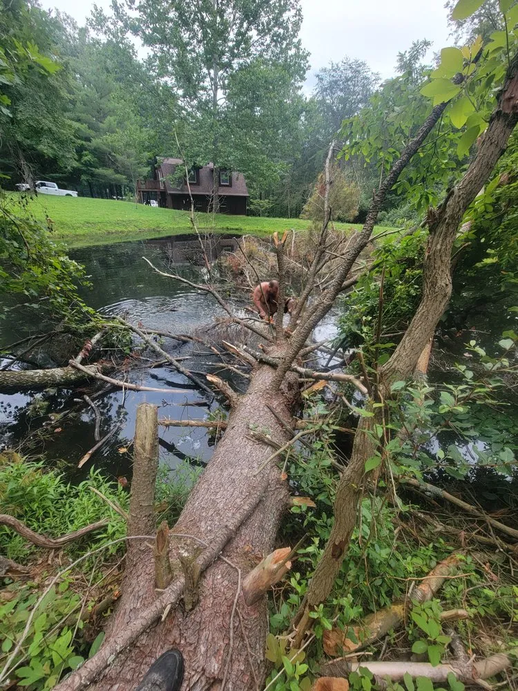 Top-rated yard cleanup service for year-round maintenance in Bloomington, IN by Anthony's Lawn Care and Landscaping