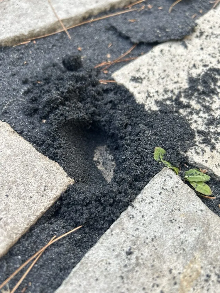 Professional yard maintenance experts serving Bloomington, IN - Anthony's Lawn Care and Landscaping