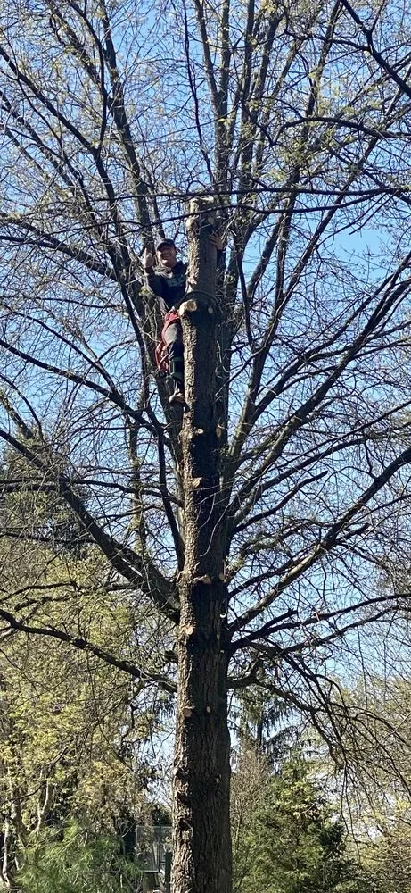 Affordable landscaping services experts serving Bloomington, IN - Anthony's Lawn Care and Landscaping