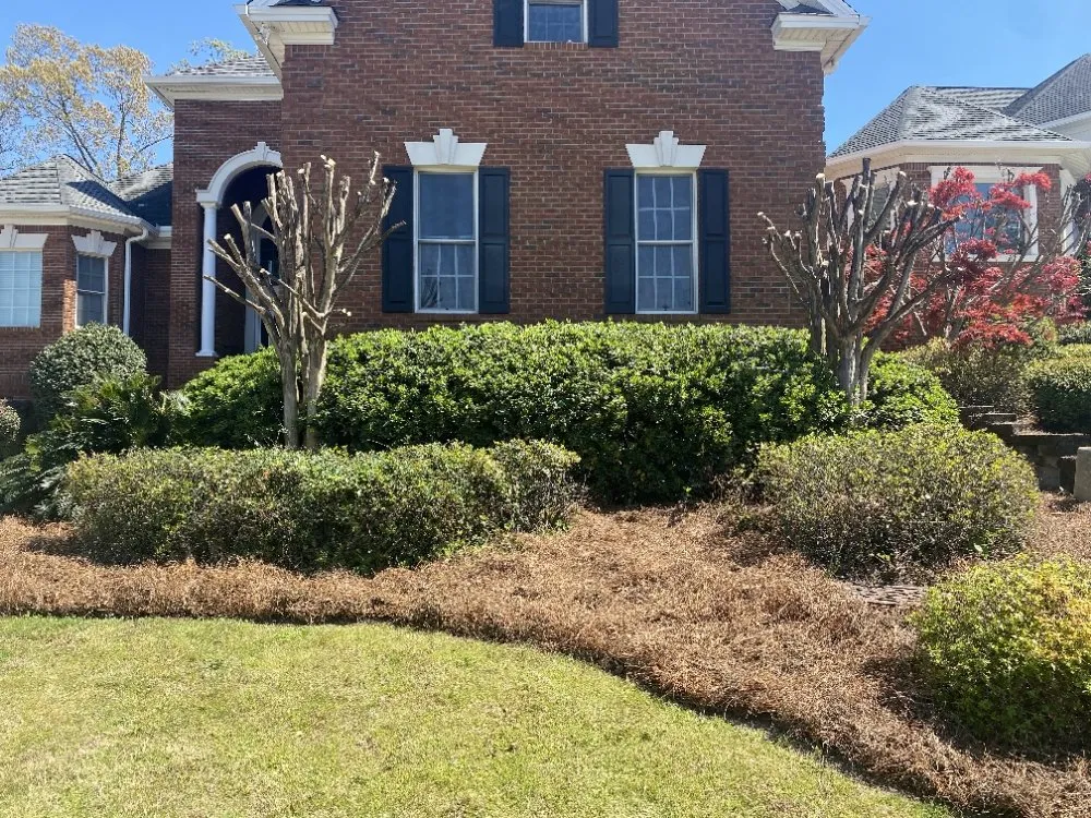 Affordable yard cleanup service for homes in Columbia, SC by Anthony's Lawn Care