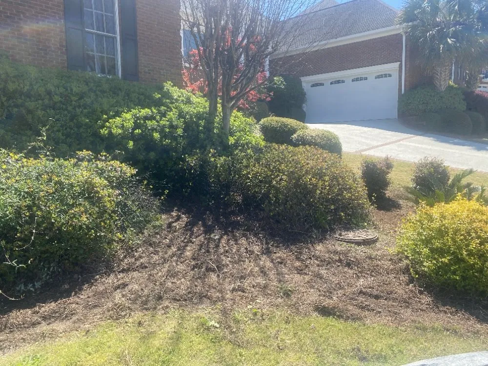 Top-rated lawn mowing service experts serving Columbia, SC - Anthony's Lawn Care