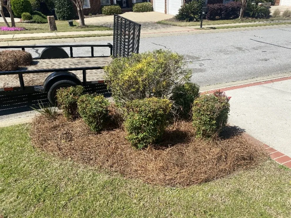 Professional lawn mowing service for homes in Columbia, SC by Anthony's Lawn Care