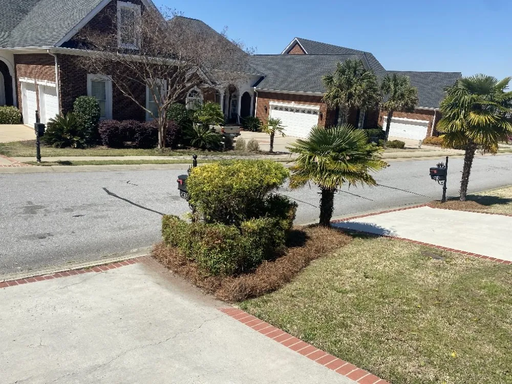 Expert landscape design for outdoor upgrades across Columbia, SC - Anthony's Lawn Care