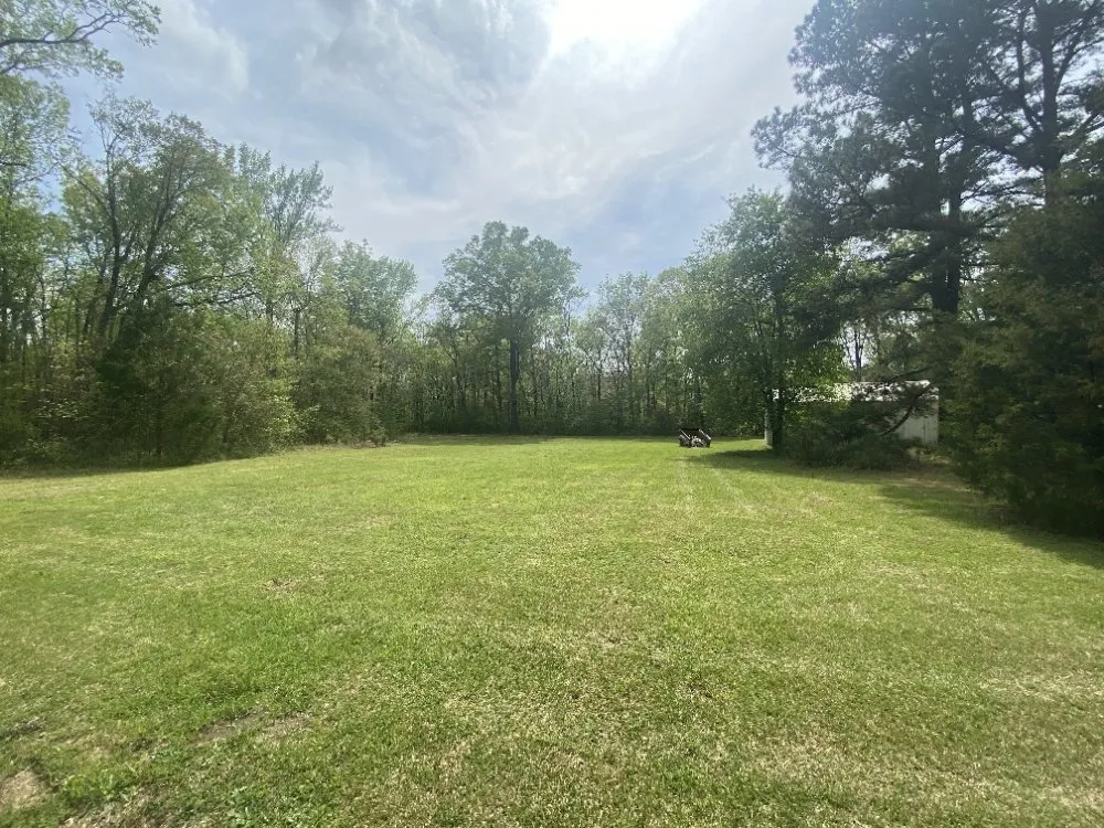 Trusted yard cleanup service in Columbia, SC - Anthony's Lawn Care