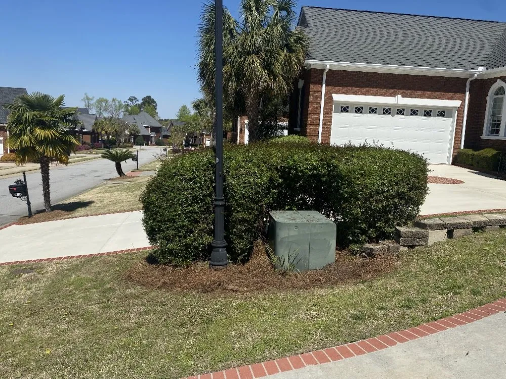 Professional landscaping services in Columbia, SC - Anthony's Lawn Care