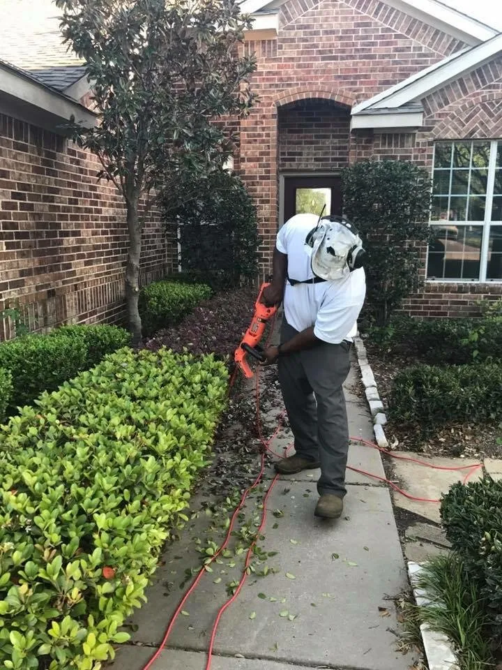 Expert yard maintenance in Denton, TX by Anthony's Lawn Care