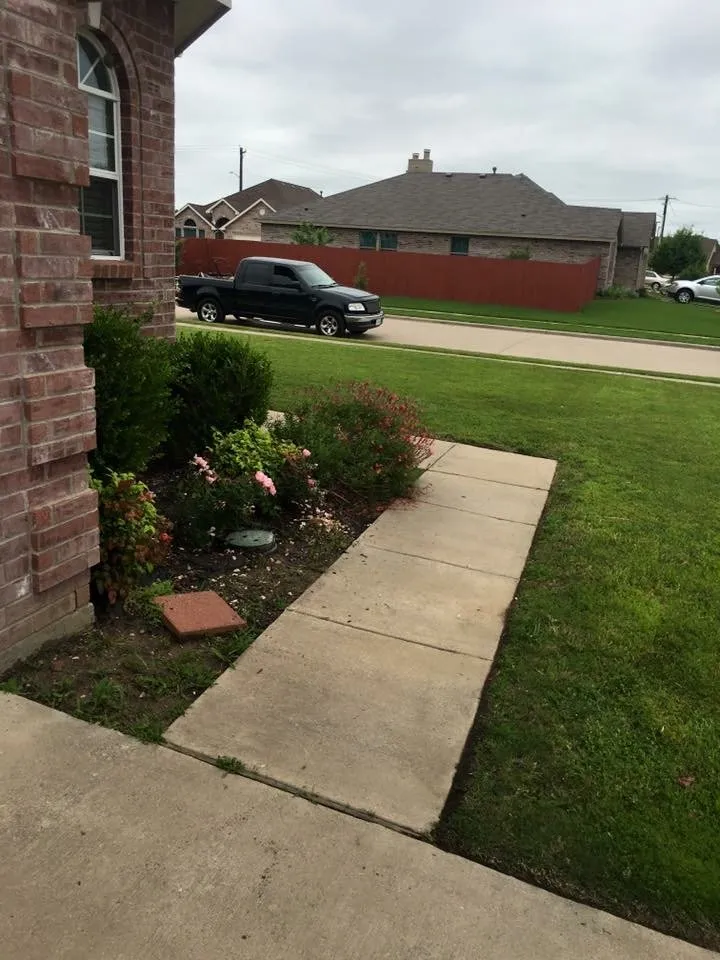 Professional yard cleanup service for year-round maintenance across Denton, TX - Anthony's Lawn Care