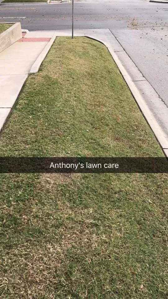 Local landscape installation with custom design across Denton, TX - Anthony's Lawn Care