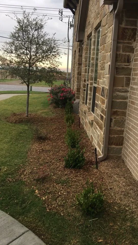 Reliable residential landscaping experts serving Denton, TX - Anthony's Lawn Care