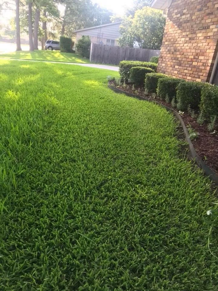 Local yard cleanup service with custom design across Denton, TX - Anthony's Lawn Care