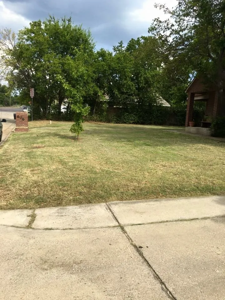 Custom yard cleanup service for year-round maintenance in Denton, TX by Anthony's Lawn Care