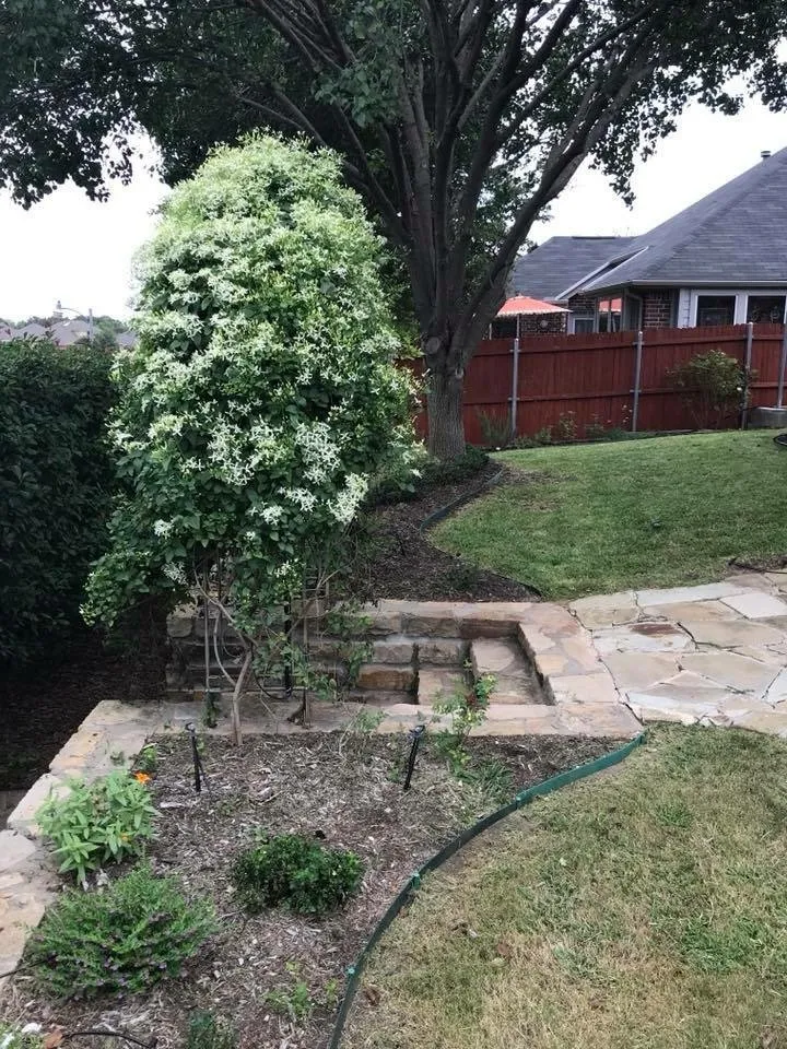 Professional landscape design in Denton, TX - Anthony's Lawn Care