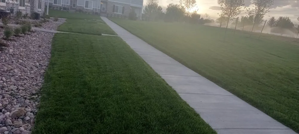 Reliable yard cleanup service experts serving Johnstown, CO - Anthony's Lawn Care