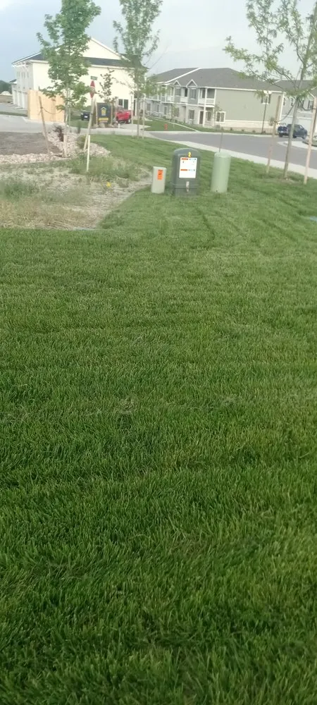 Local yard maintenance for year-round maintenance across Johnstown, CO - Anthony's Lawn Care