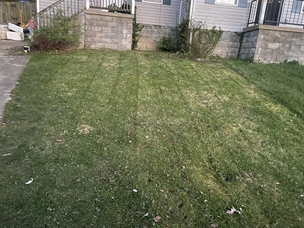 Trusted yard maintenance experts serving Nicholasville, KY - Anthonys Lawn Care