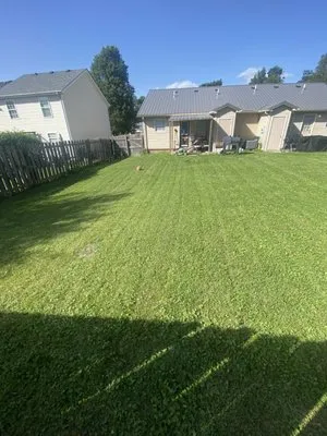 Anthonys Lawn Care Logo