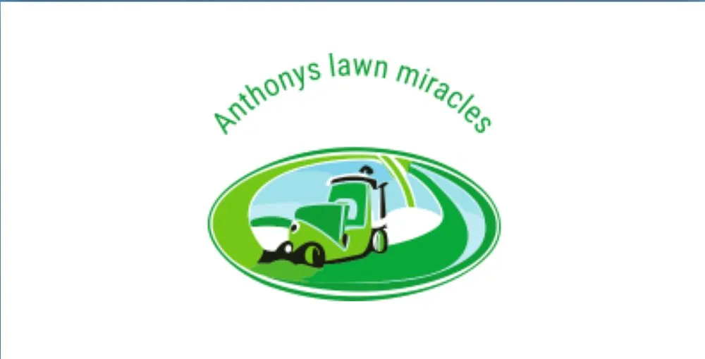 Affordable yard cleanup service in Winter Haven, FL by Anthonys Lawn Miracles