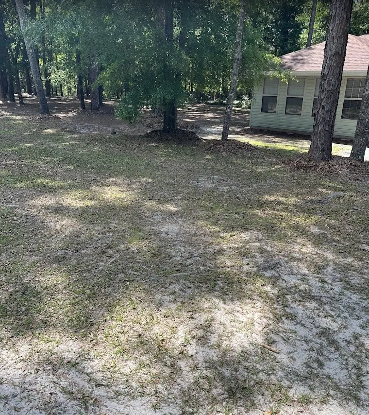 Professional outdoor landscaping experts serving Lake City, FL - Anthony’s Lawn Service and Pressure Washing