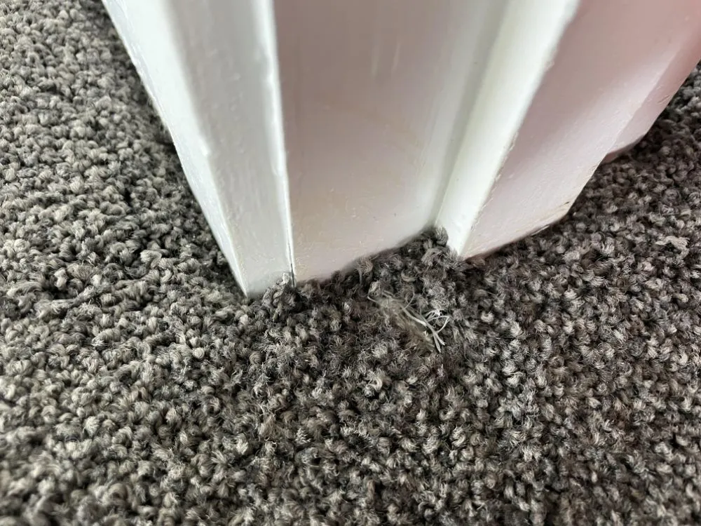 Expert yard cleanup service near you in Nashville, TN by Anthony's Lawn Service