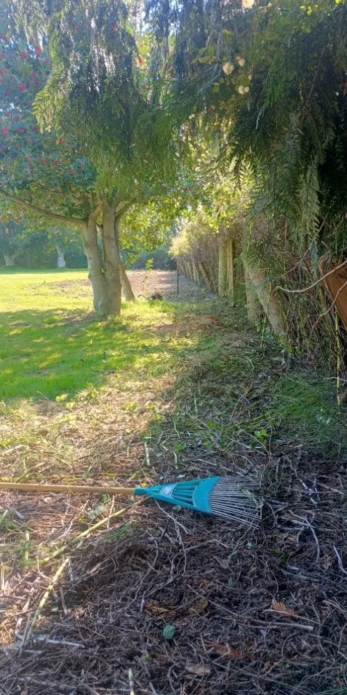 Trusted outdoor landscaping for year-round maintenance in Sequim, WA by Anthony's Pnw Services