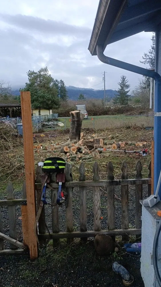 Expert lawn care service in Sequim, WA by Anthony's Pnw Services