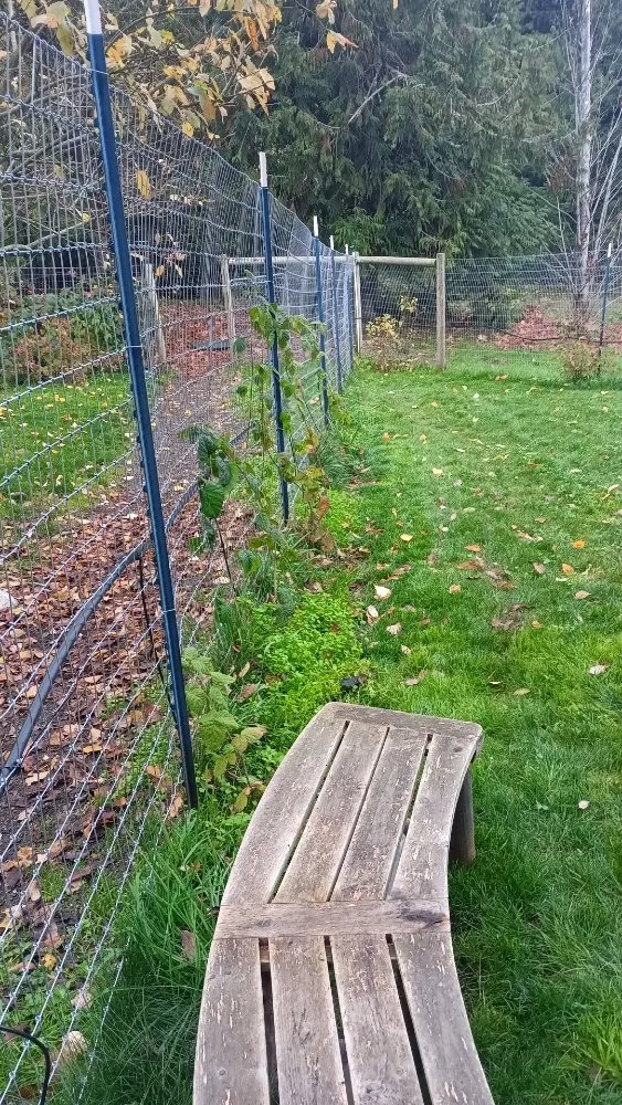 Top-rated residential landscaping experts serving Sequim, WA - Anthony's Pnw Services