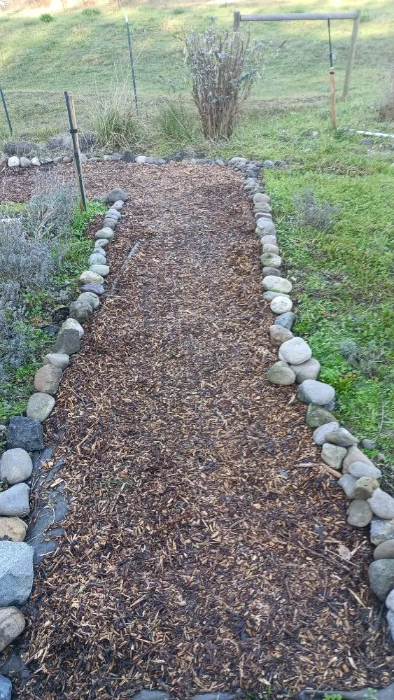 Expert yard cleanup service for year-round maintenance in Sequim, WA by Anthony's Pnw Services