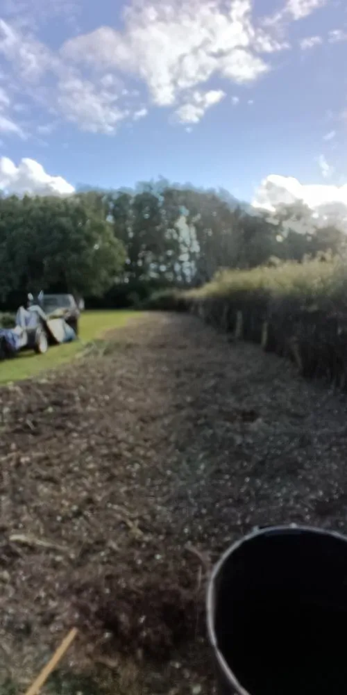 Expert lawn mowing service in Sequim, WA - Anthony's Pnw Services