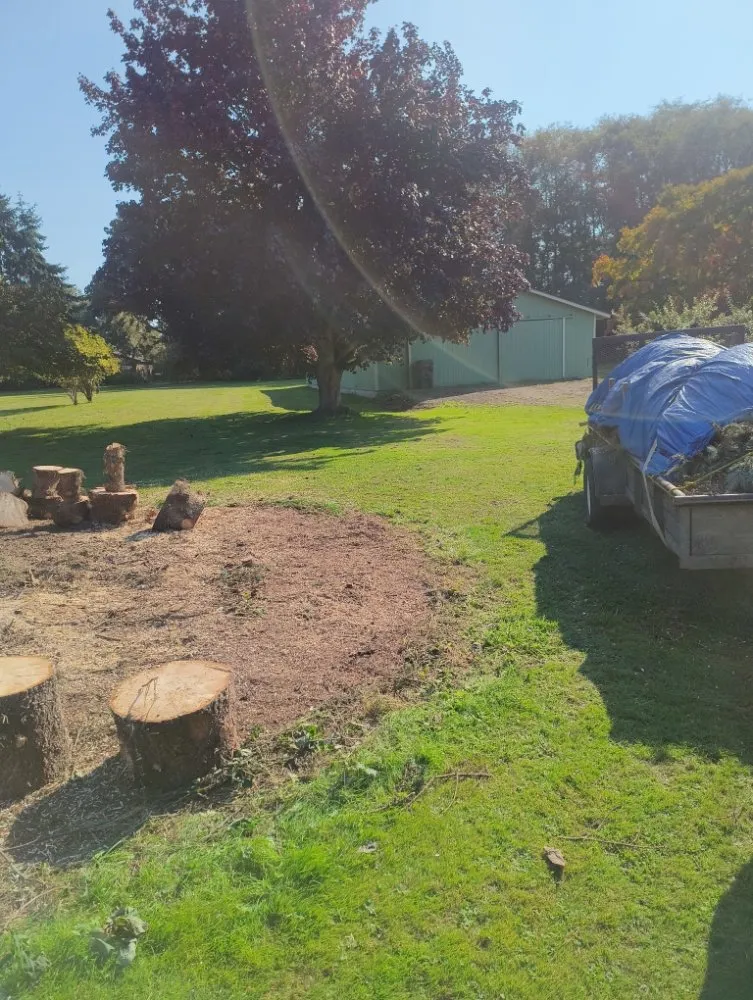 Affordable outdoor landscaping experts serving Sequim, WA - Anthony's Pnw Services