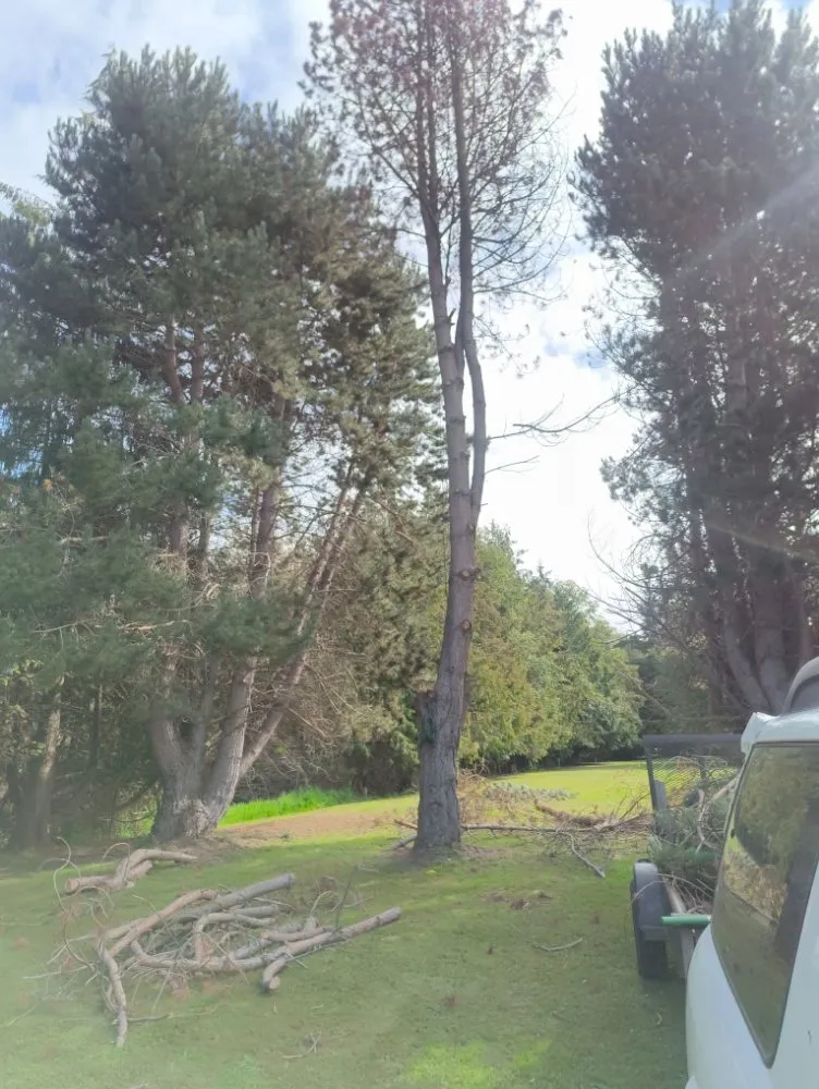 Trusted outdoor landscaping in Sequim, WA by Anthony's Pnw Services