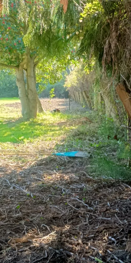 Expert residential landscaping with custom design in Sequim, WA by Anthony's Pnw Services