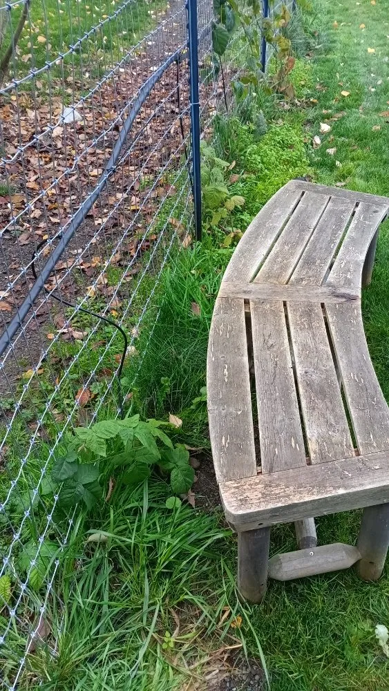 Affordable outdoor landscaping in Sequim, WA by Anthony's Pnw Services