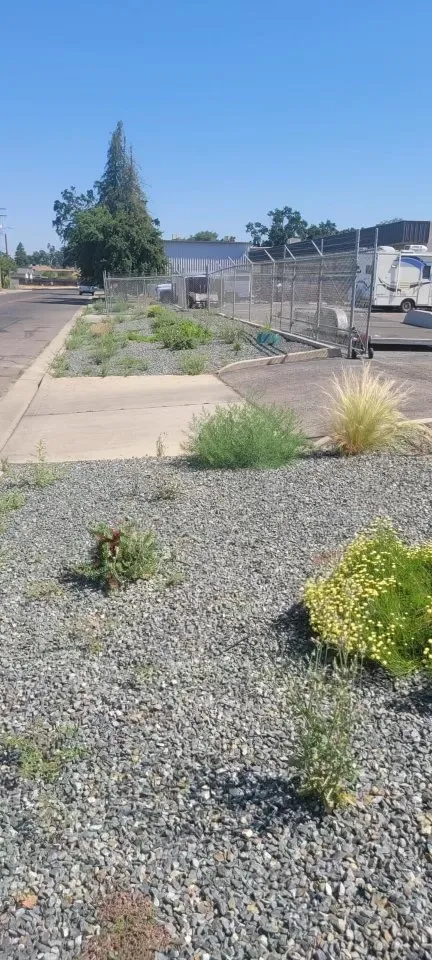 Trusted garden landscaping near you across Visalia, CA - Anthonys Pro-Maintenance