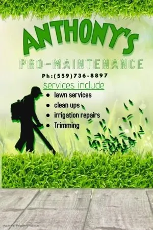 Reliable yard maintenance in Visalia, CA - Anthonys Pro-Maintenance