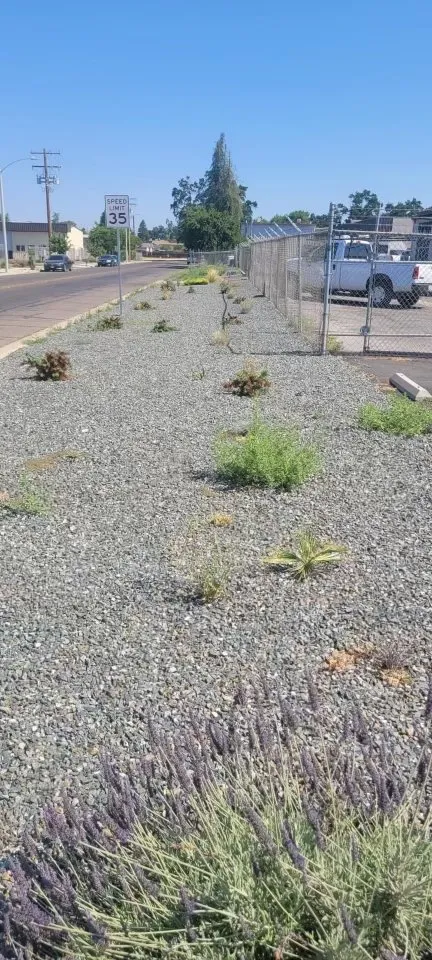 Affordable residential landscaping for outdoor upgrades in Visalia, CA by Anthonys Pro-Maintenance