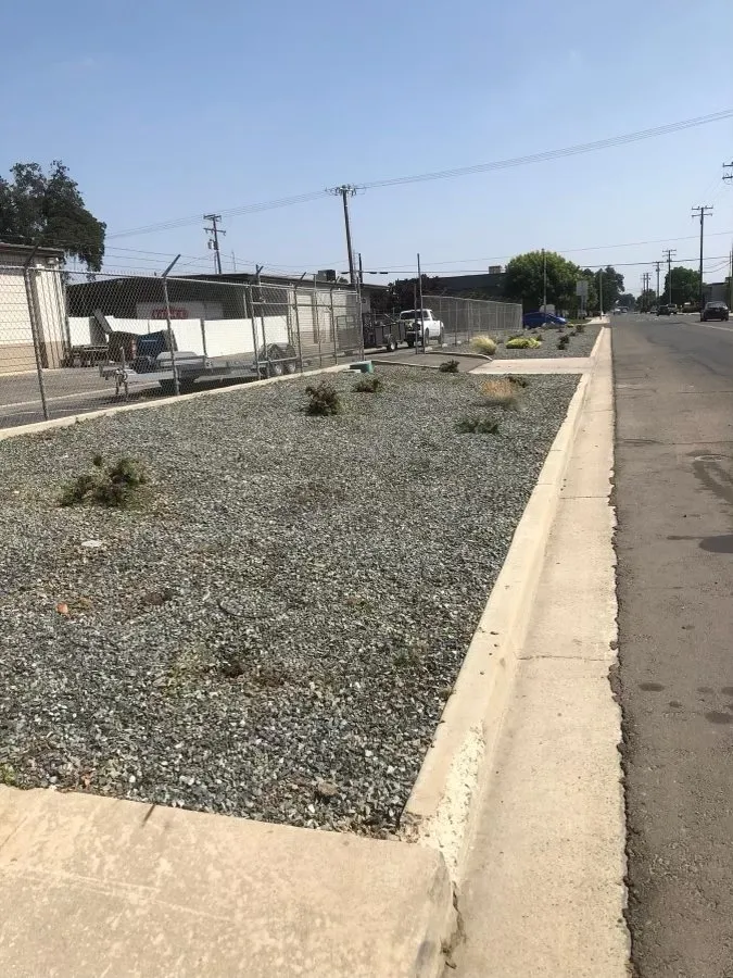 Expert landscape installation with custom design in Visalia, CA by Anthonys Pro-Maintenance