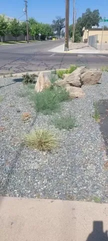 Local yard maintenance in Visalia, CA by Anthonys Pro-Maintenance