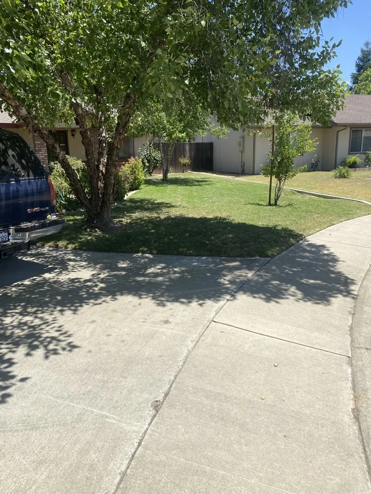 Trusted lawn care service experts serving Visalia, CA - Anthonys Pro-Maintenance