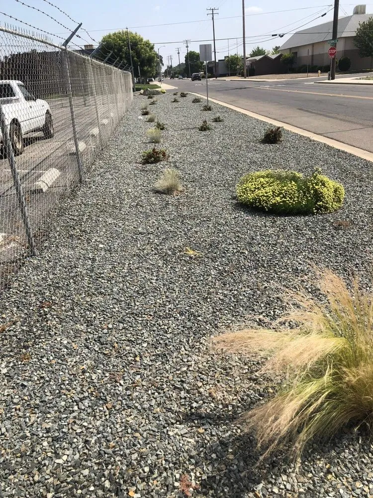 Top-rated landscaping services for year-round maintenance across Visalia, CA - Anthonys Pro-Maintenance