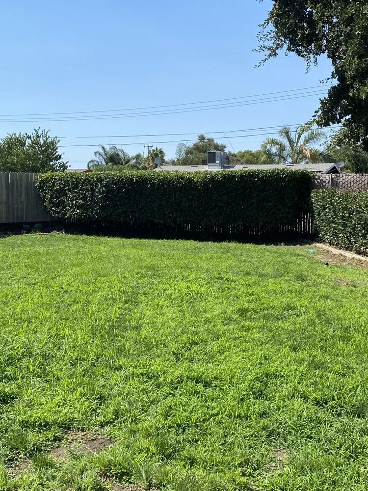 Top-rated landscape installation in Visalia, CA by Anthonys Pro-Maintenance