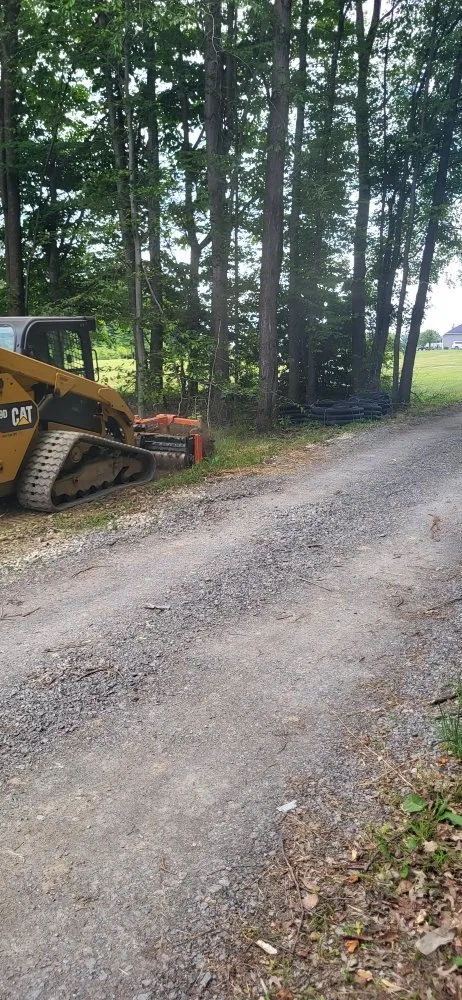 Custom yard cleanup service in Lorain, OH by Anthony's Property Management