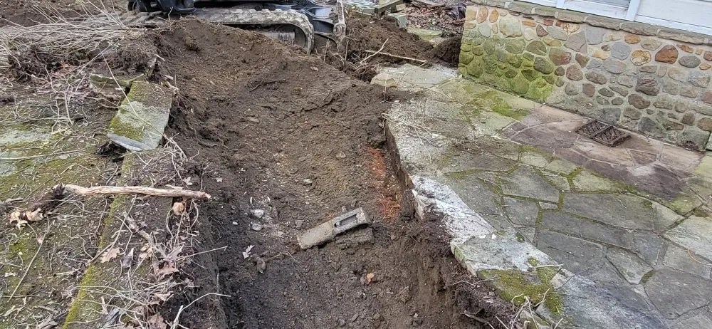 Professional yard cleanup service in Lorain, OH by Anthony's Property Management