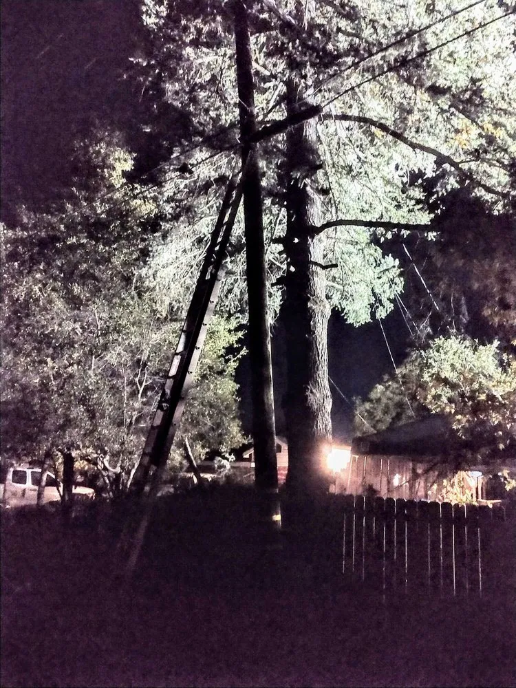 Trusted yard cleanup service in Lucerne, CA - Anthony's Property Restoration and Tree service